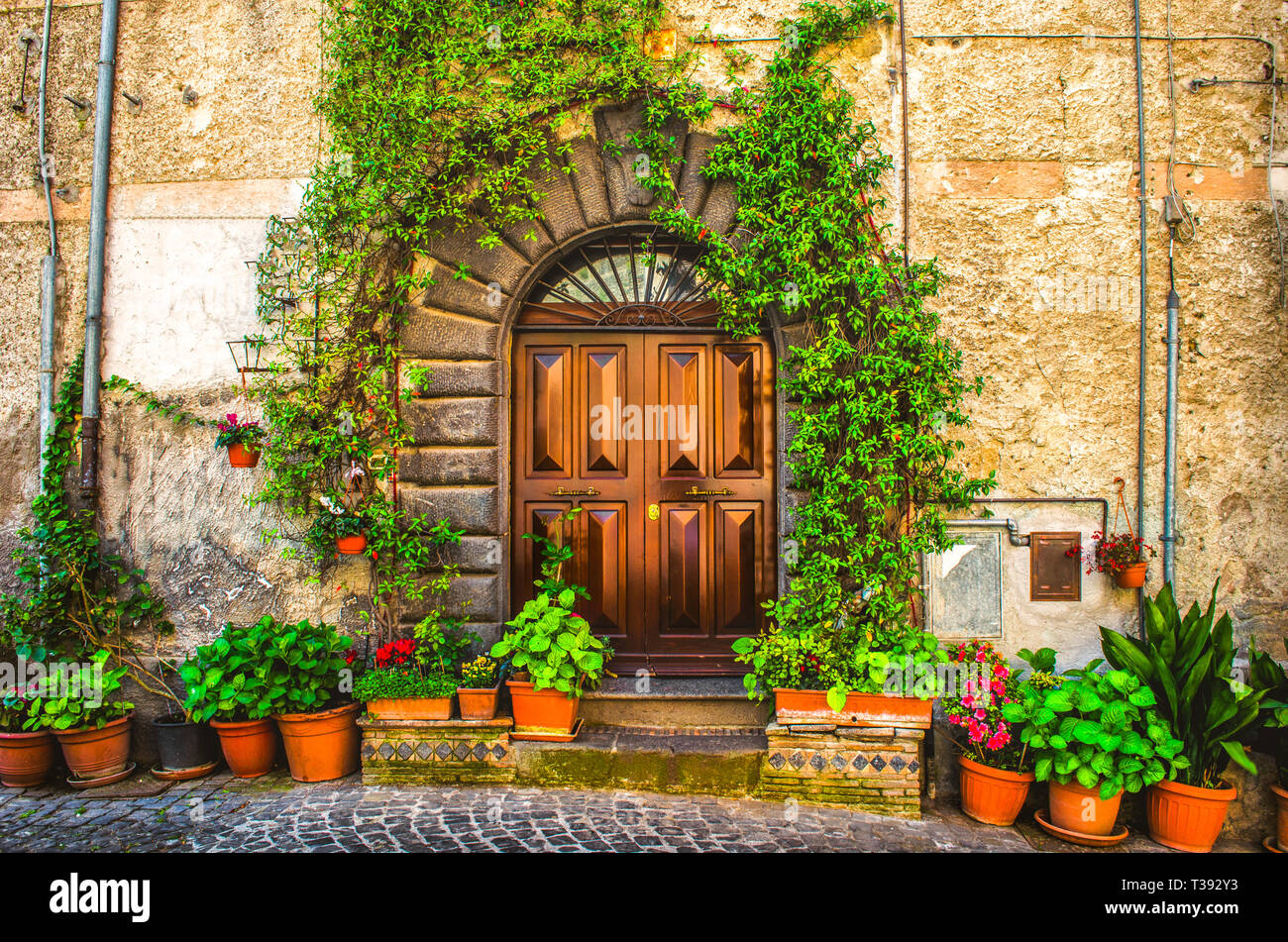 vine plant on an italian house door  Stock Photo