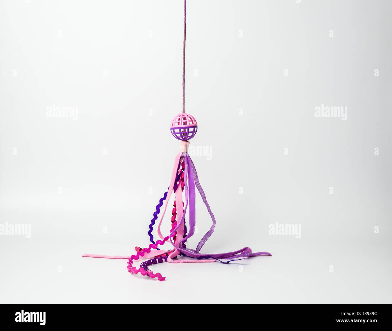 Cat Toy with a purple and pink band Stock Photo