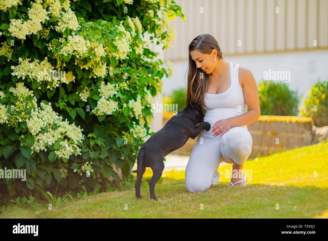 Smiling Pregnant Woman With A Big Belly Plays With Her Dog In The