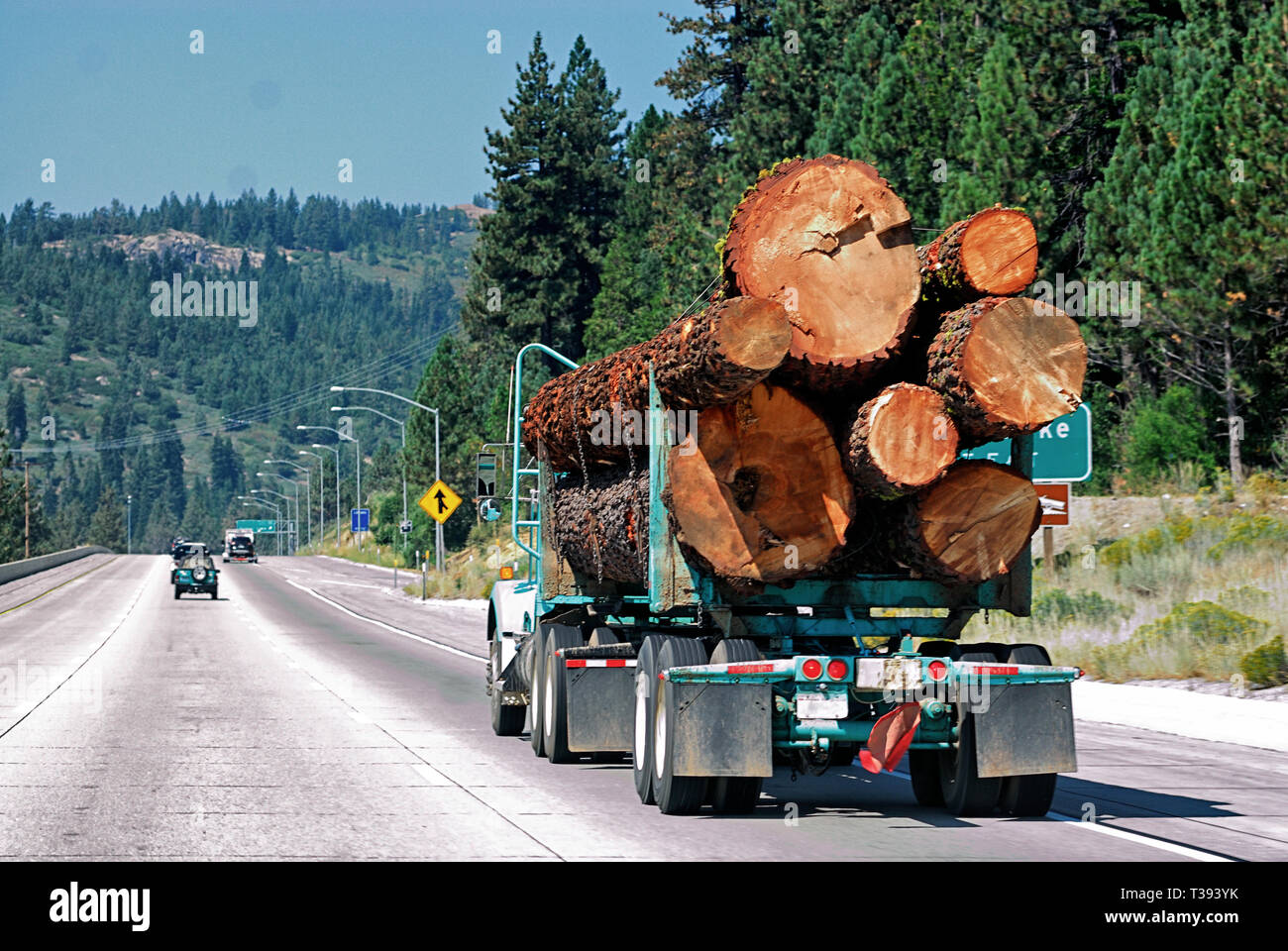 A logging truck with a full load traveling down the highway. Stock Photo