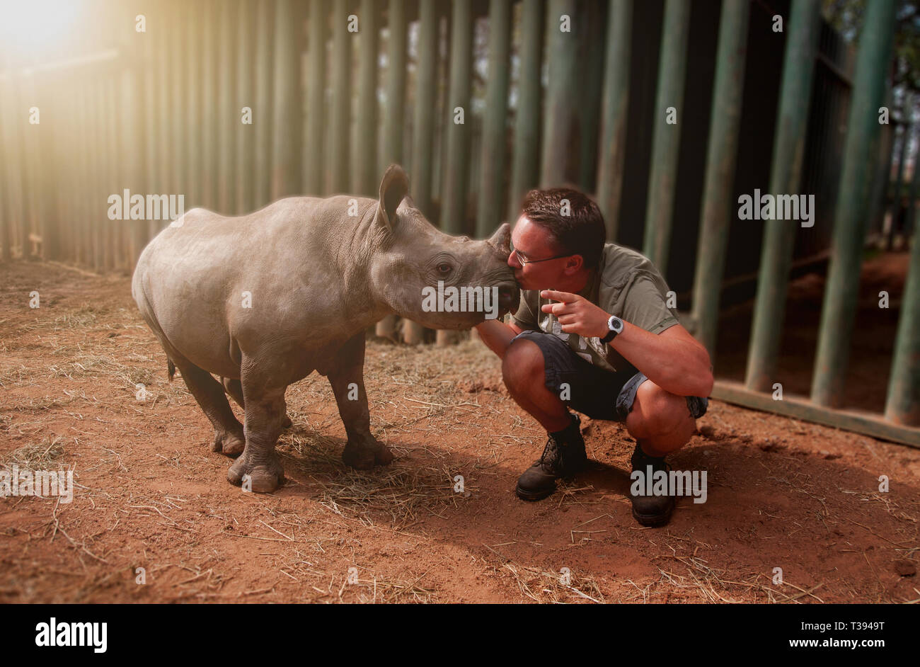 Young man kissing rhinoceros baby Stock Photo