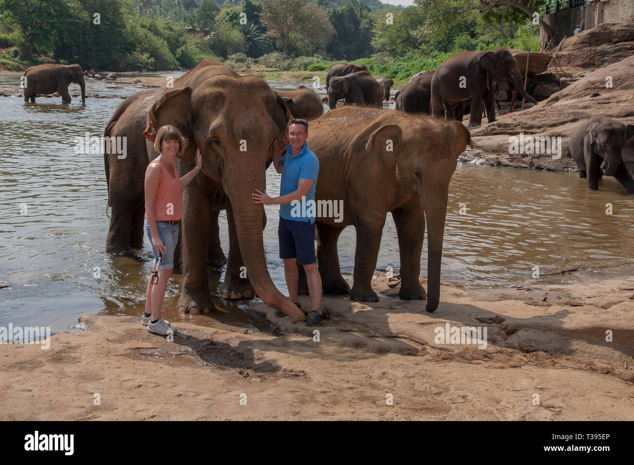 Two young happy tourists with elephants in the water - Sri Lanka Stock Photo