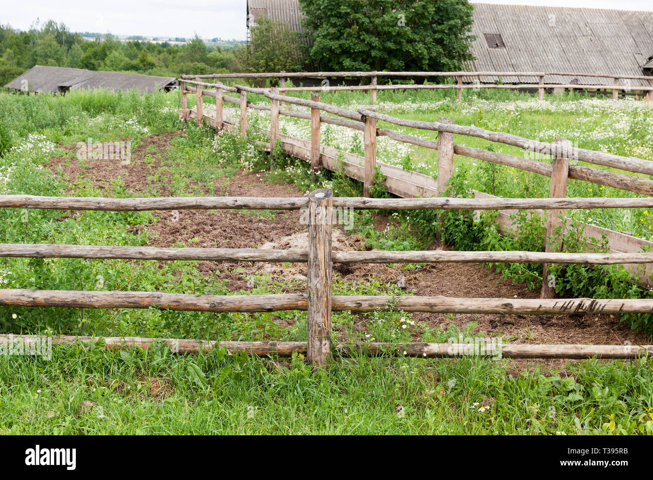 primitive simple wooden fence on the farm, green grass, in the background  the old structure Stock Photo - Alamy, image size:1300x956