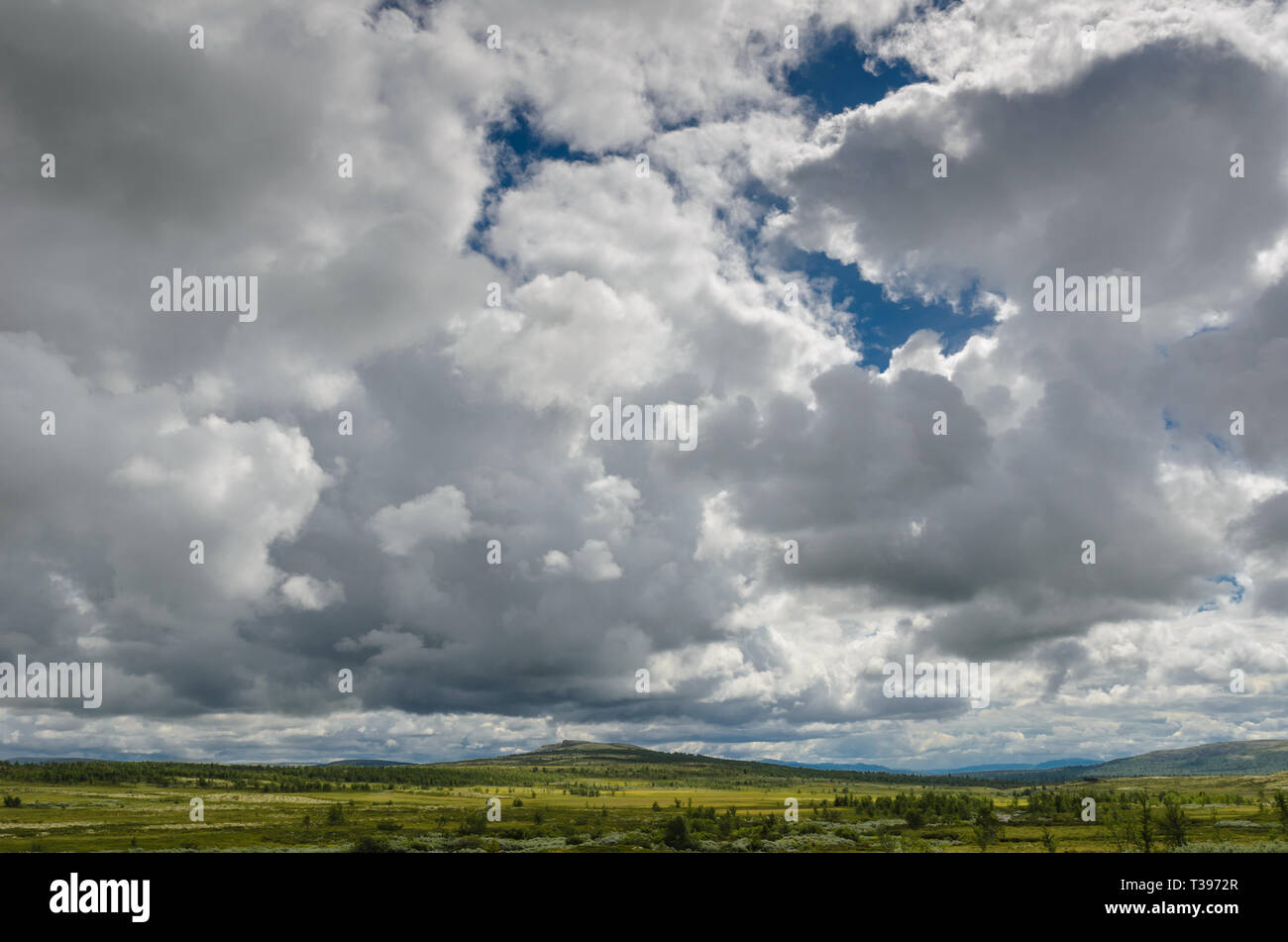 Rondane National Park Stock Photo