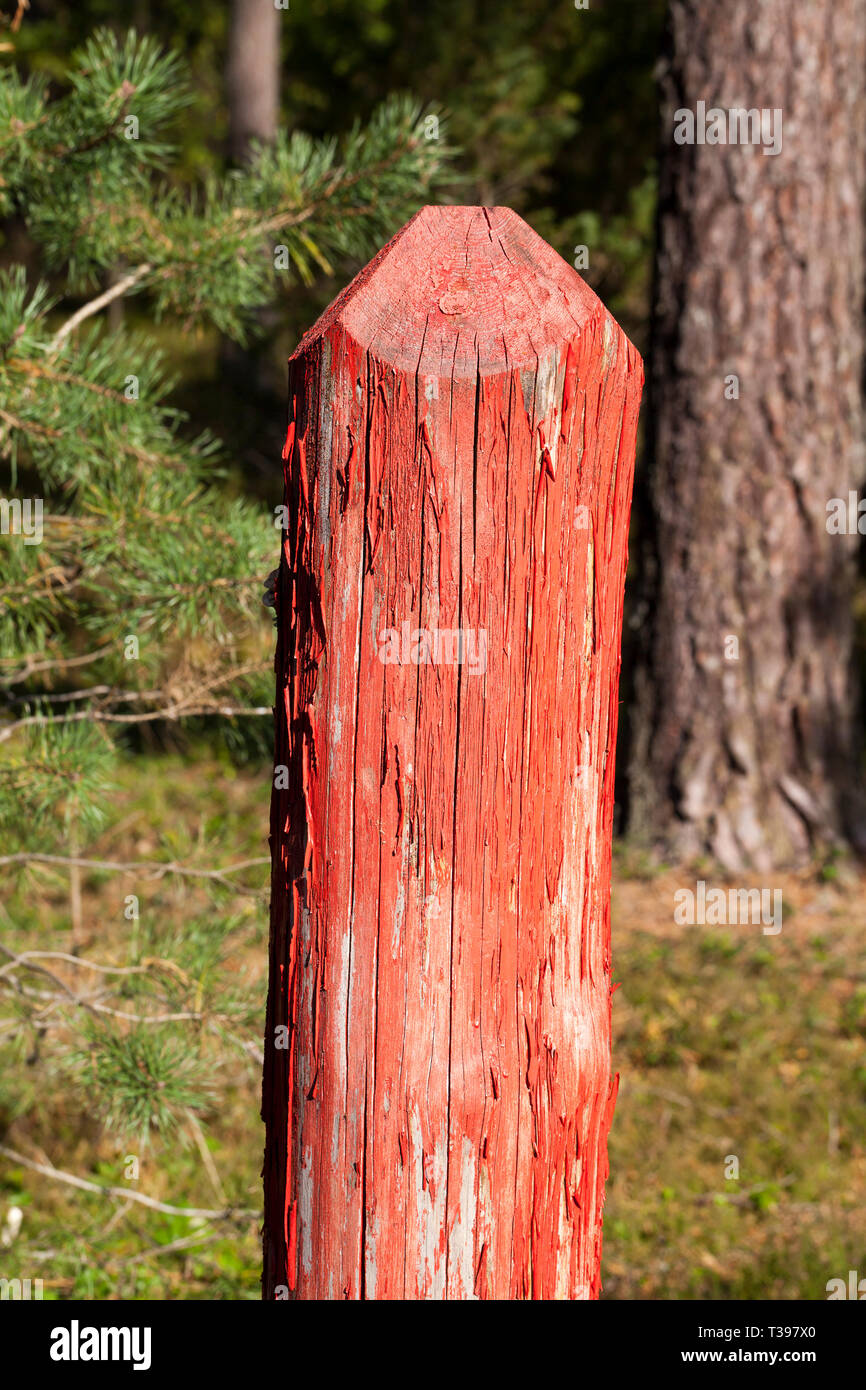 wooden pole painted with red paint in the forest for the demarcation of  different territories Stock Photo - Alamy