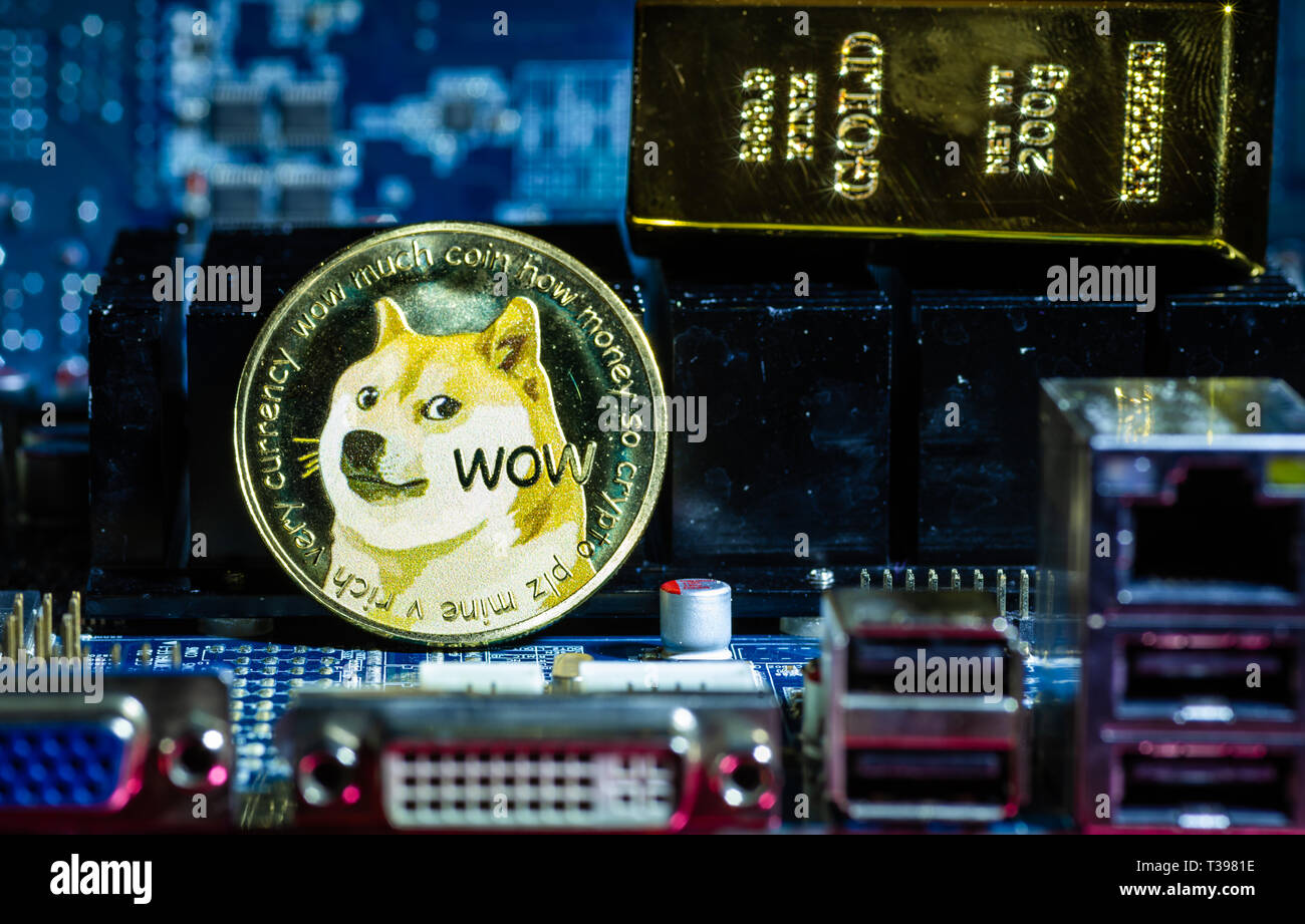 Front view of Dogecoin cryptocurrency and golden brick or block over  computer video card.Bitcoin mining farm, working computer equipment concept  Stock Photo - Alamy