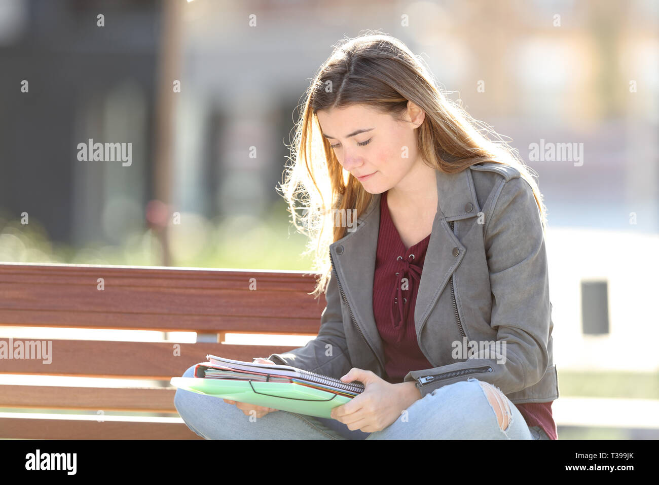 Concentrated student learning reading notes sitting on a bench in a park Stock Photo