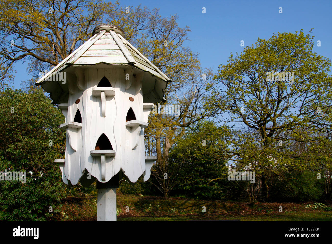 White dovecote nesting box in Clyne Gardens, Swansea, Wales, UK Stock Photo