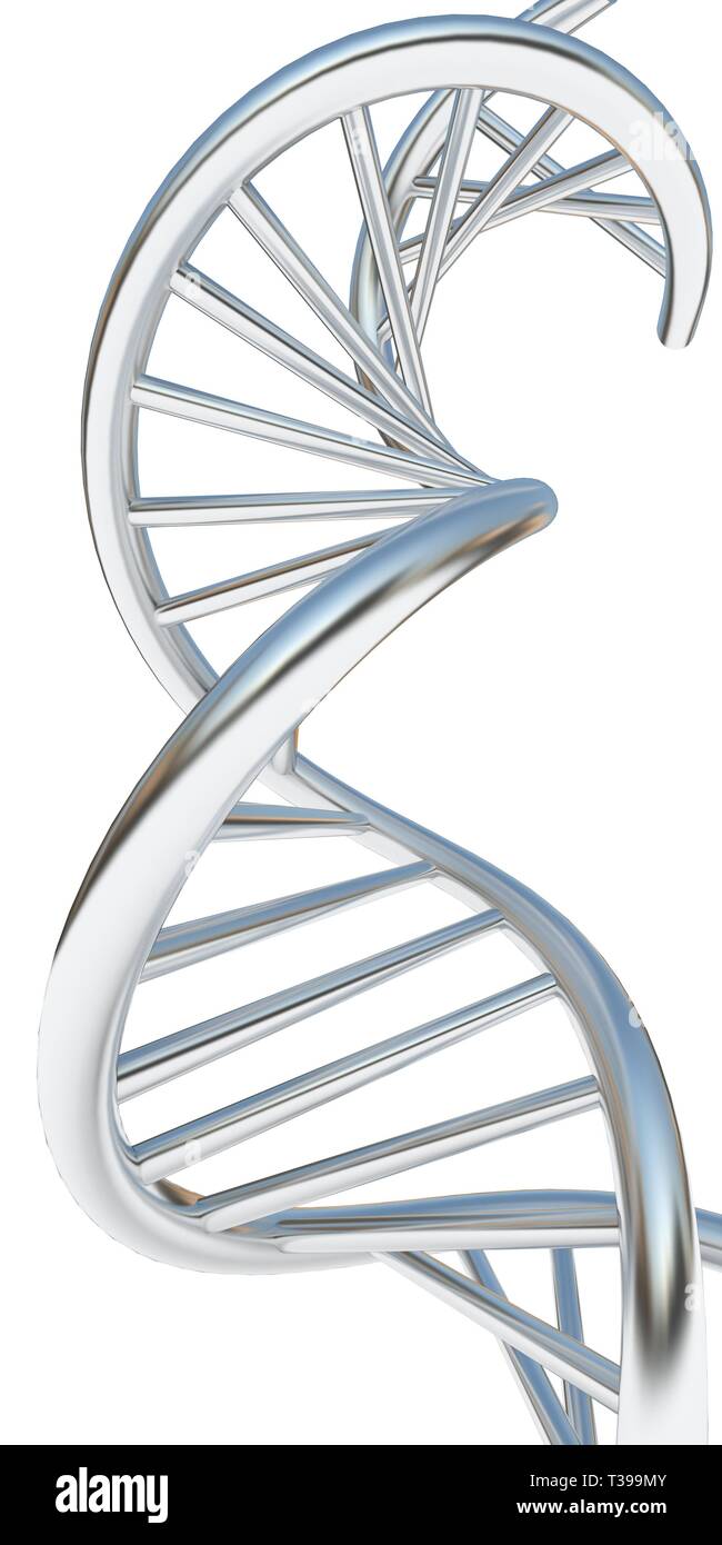 DNA structure model on white. 3d illustration Stock Photo - Alamy