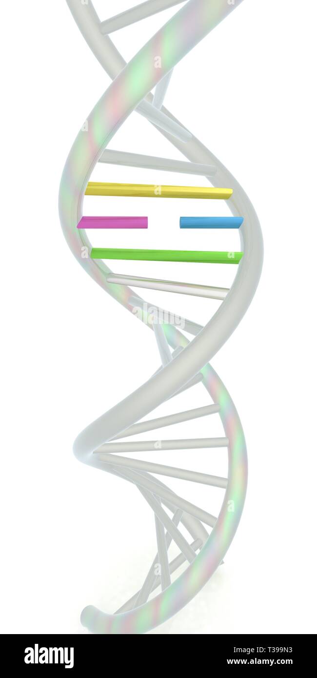 DNA structure model on white. 3d illustration Stock Photo - Alamy