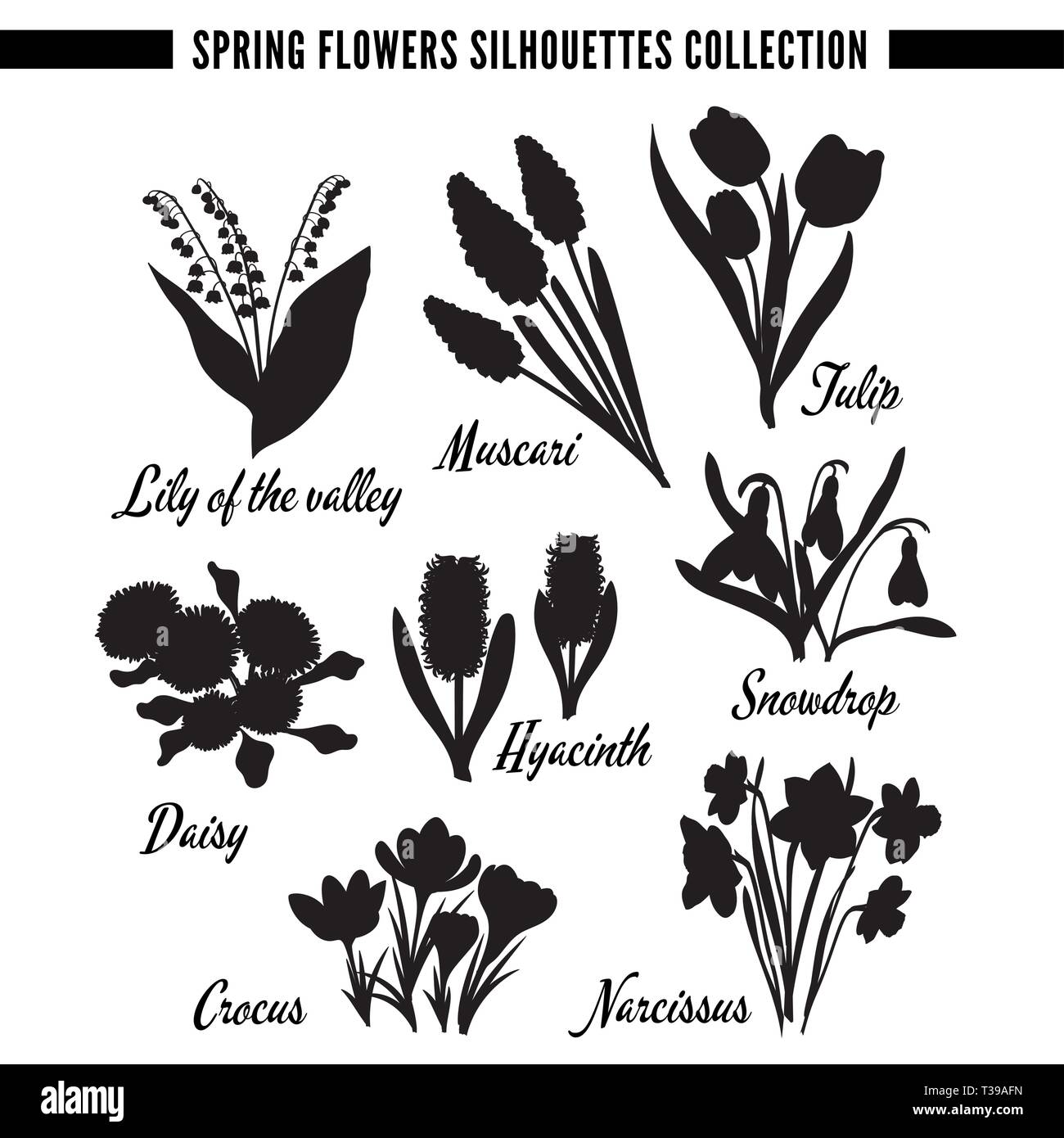 Spring flowers silhouettes collection (set): lilly of the valley, snowdrop, crocus, hyacinth, muscari, tulip, narcissus, daisy. One color vector illus Stock Vector