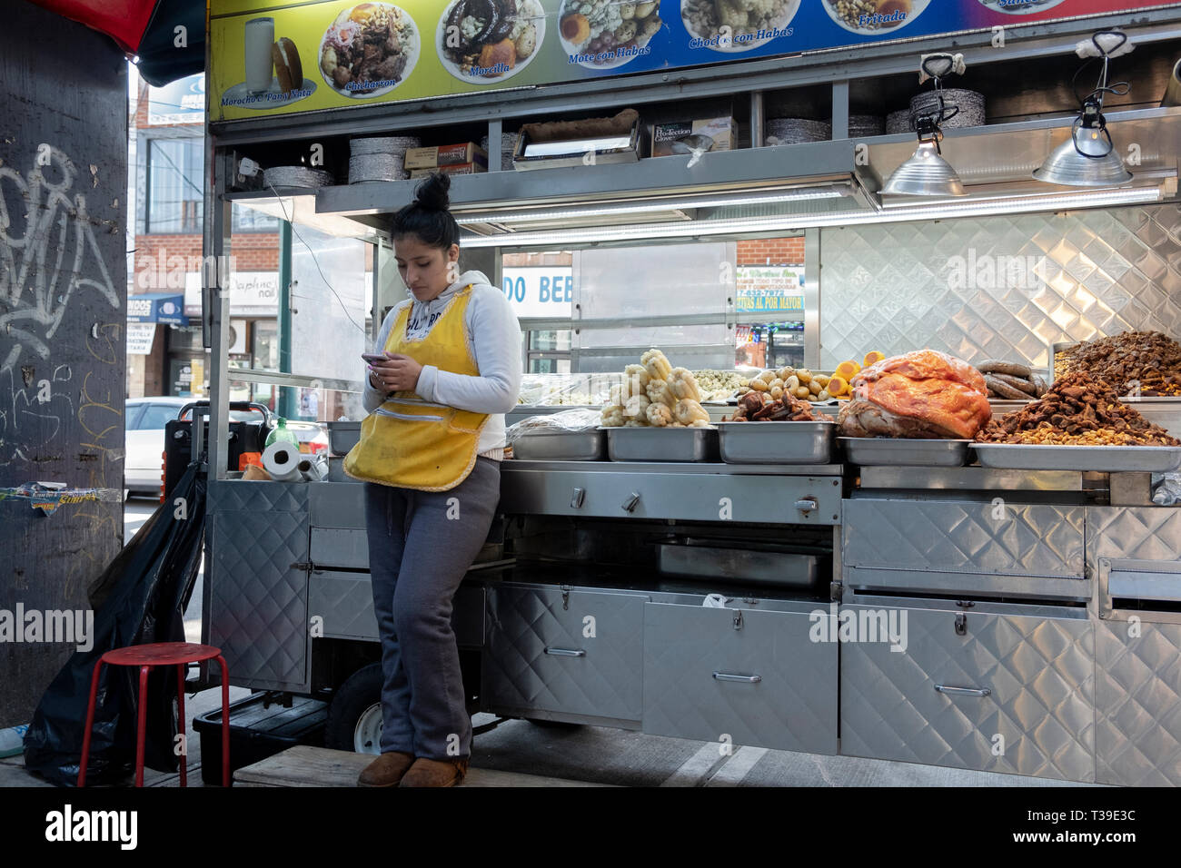 A South American woman selling grilled meats & other foods from a cart underneath the elevated subway trains . In Corona, Queens, NYC Stock Photo