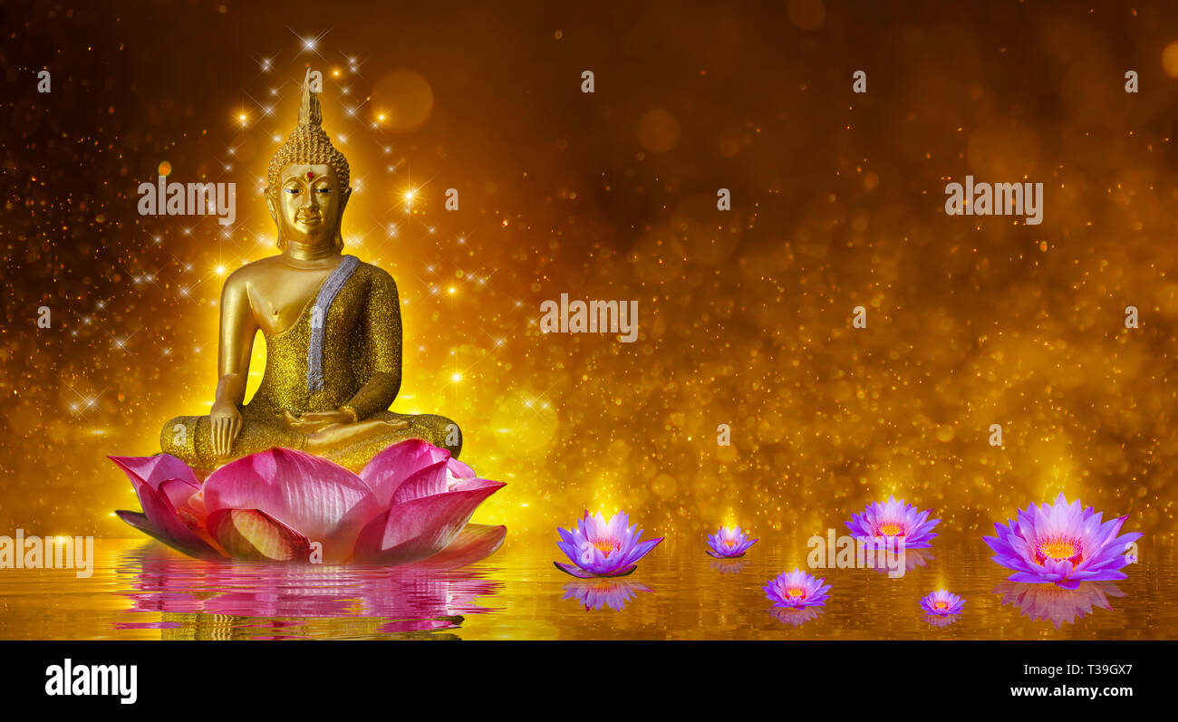 Buddha Lotus Flower High Resolution Stock Photography and Images - Alamy