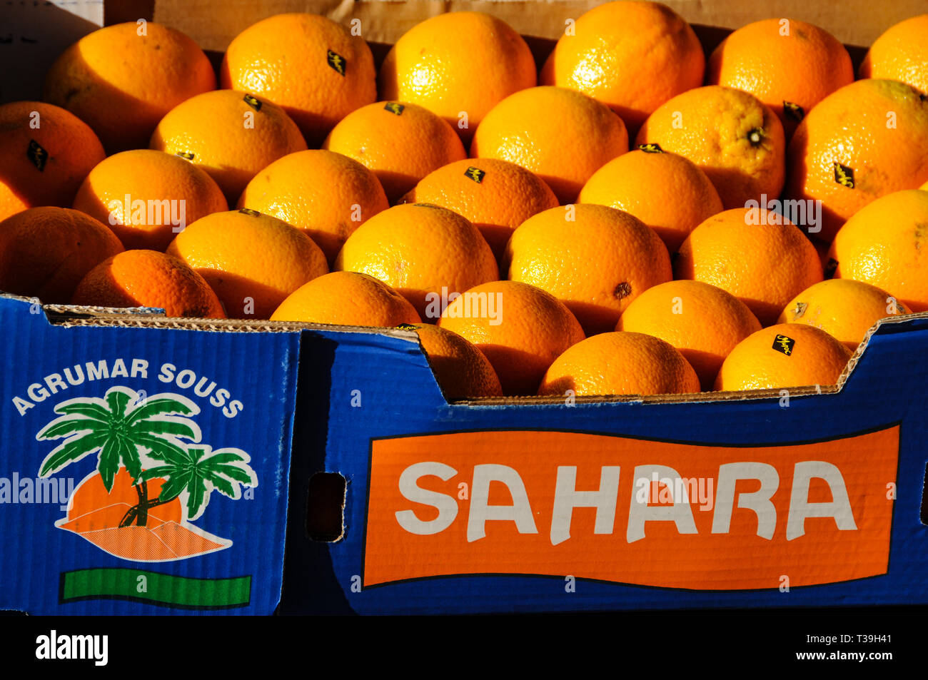 Sahara Oranges, Cours Saleya Market, Old Nice, Vieux Nice, Nice, Provence, Cote d'Azur, France Stock Photo