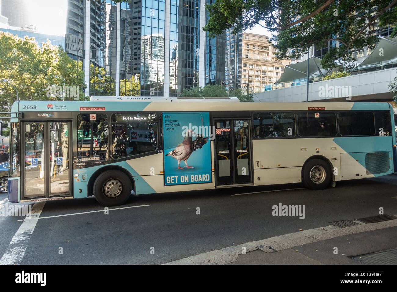 Sydney, Australia - February 12, 2019: Public transport bus at intersection downtown with green foliage and highrise buildings in the back. Advertisem Stock Photo