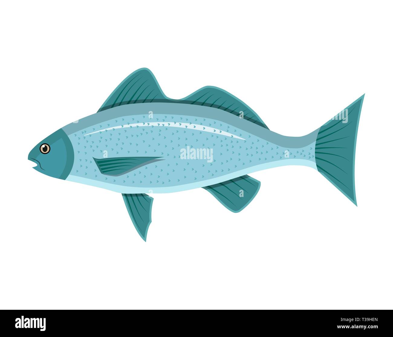 Generic sea fish. Vector illustration in flat style Stock Vector Image ...