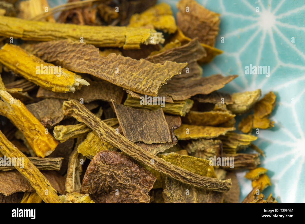 mistletoe birdlime close up, healthy healing herbs Stock Photo