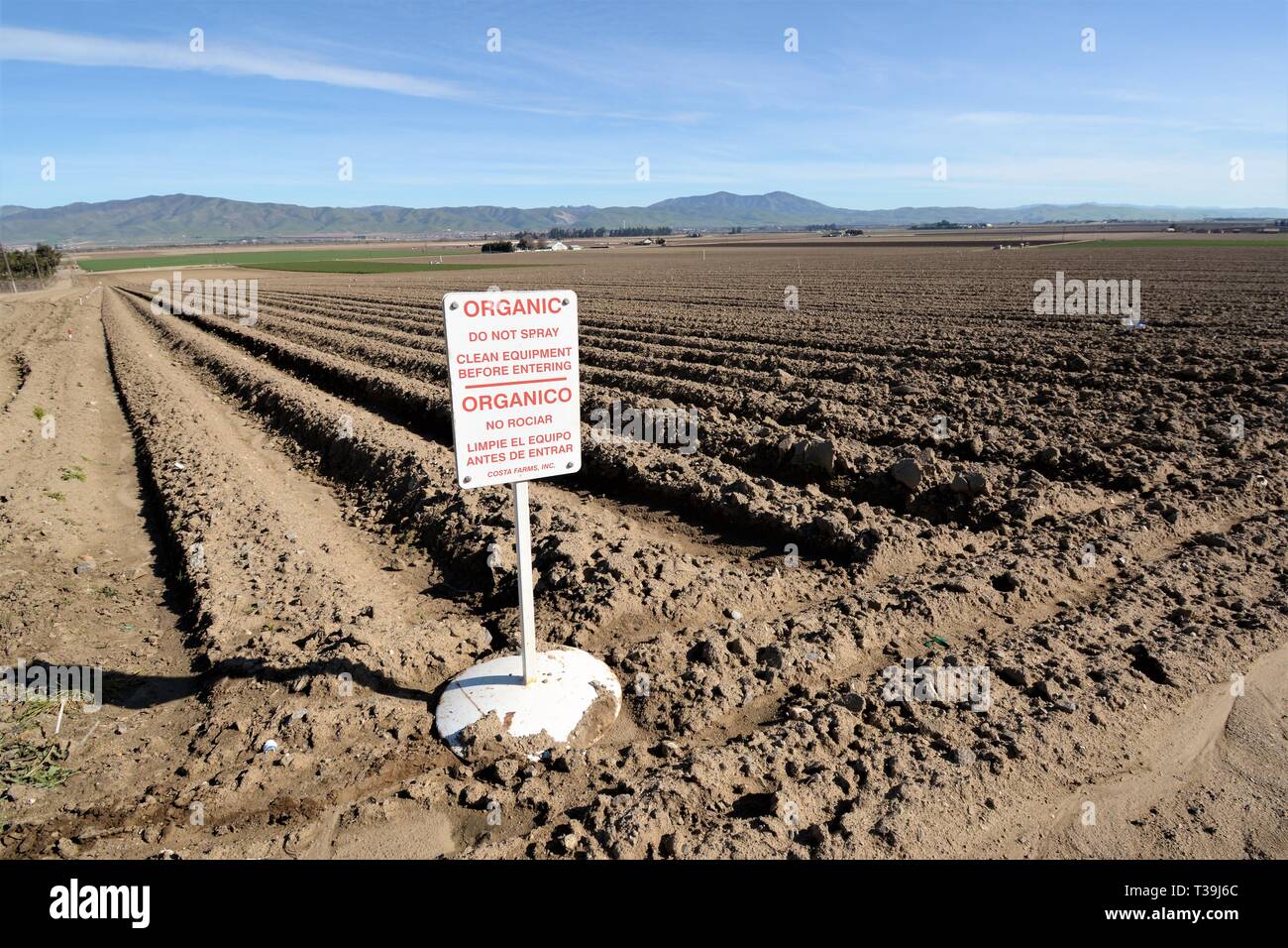 Food growing field with organic sign for no pesticides or chemicals in Salinas Valley of California Stock Photo