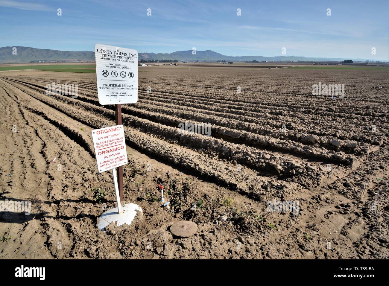 Food growing field with organic sign for no pesticides or chemicals in Salinas Valley of California Stock Photo