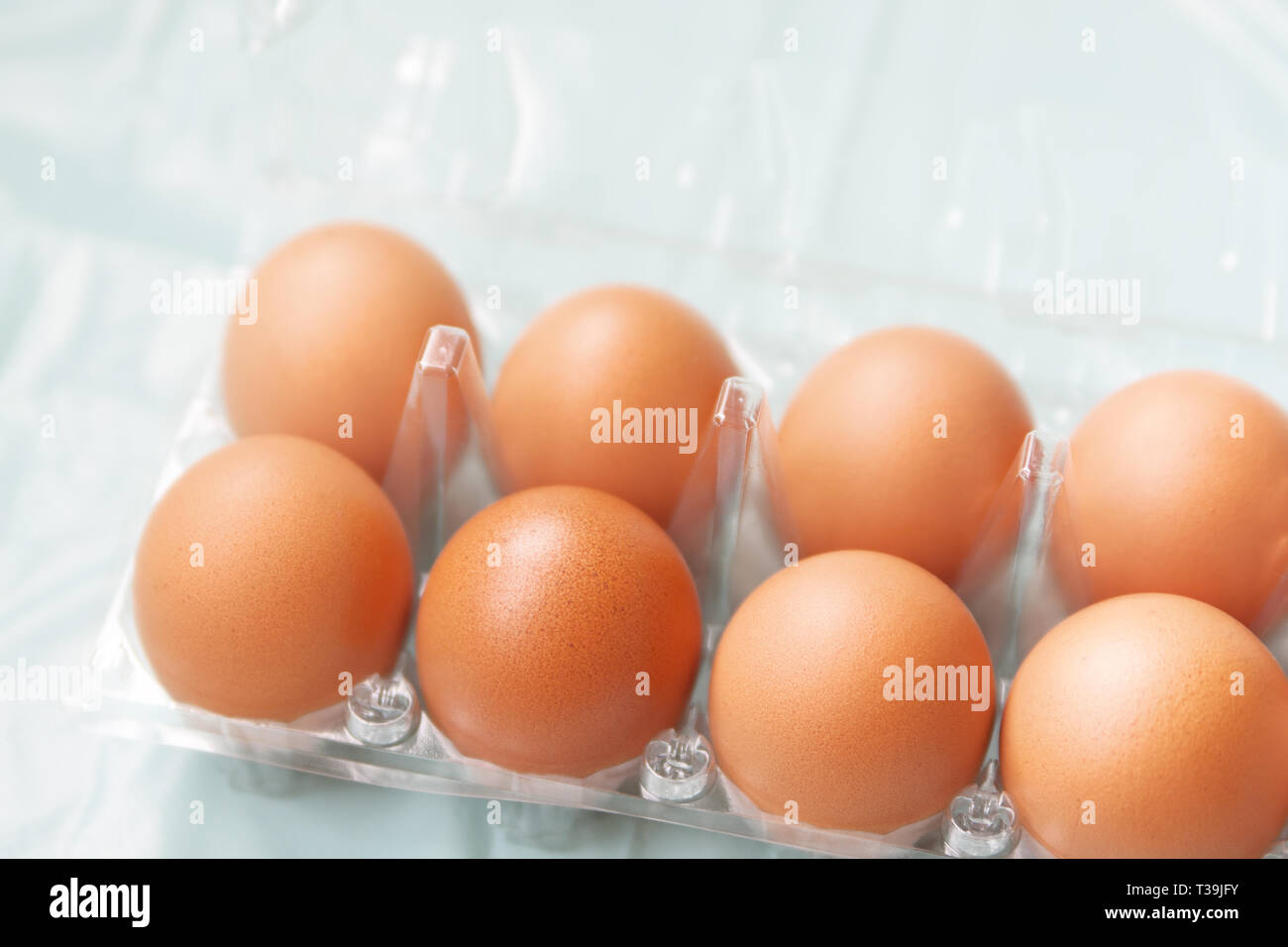 Fresh brown hens eggs in the transparent plastic package Stock Photo