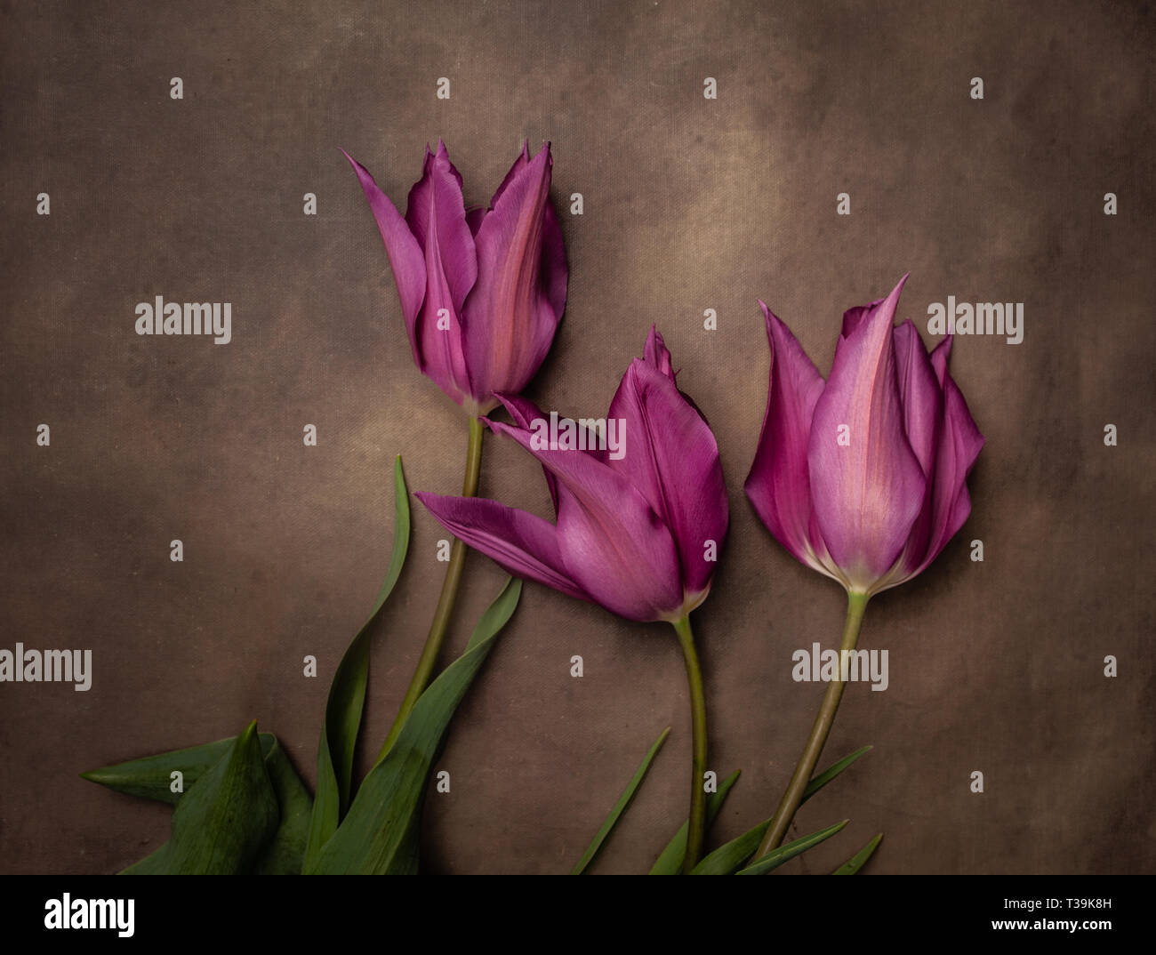 Art flower hi-res stock photography and images - Alamy