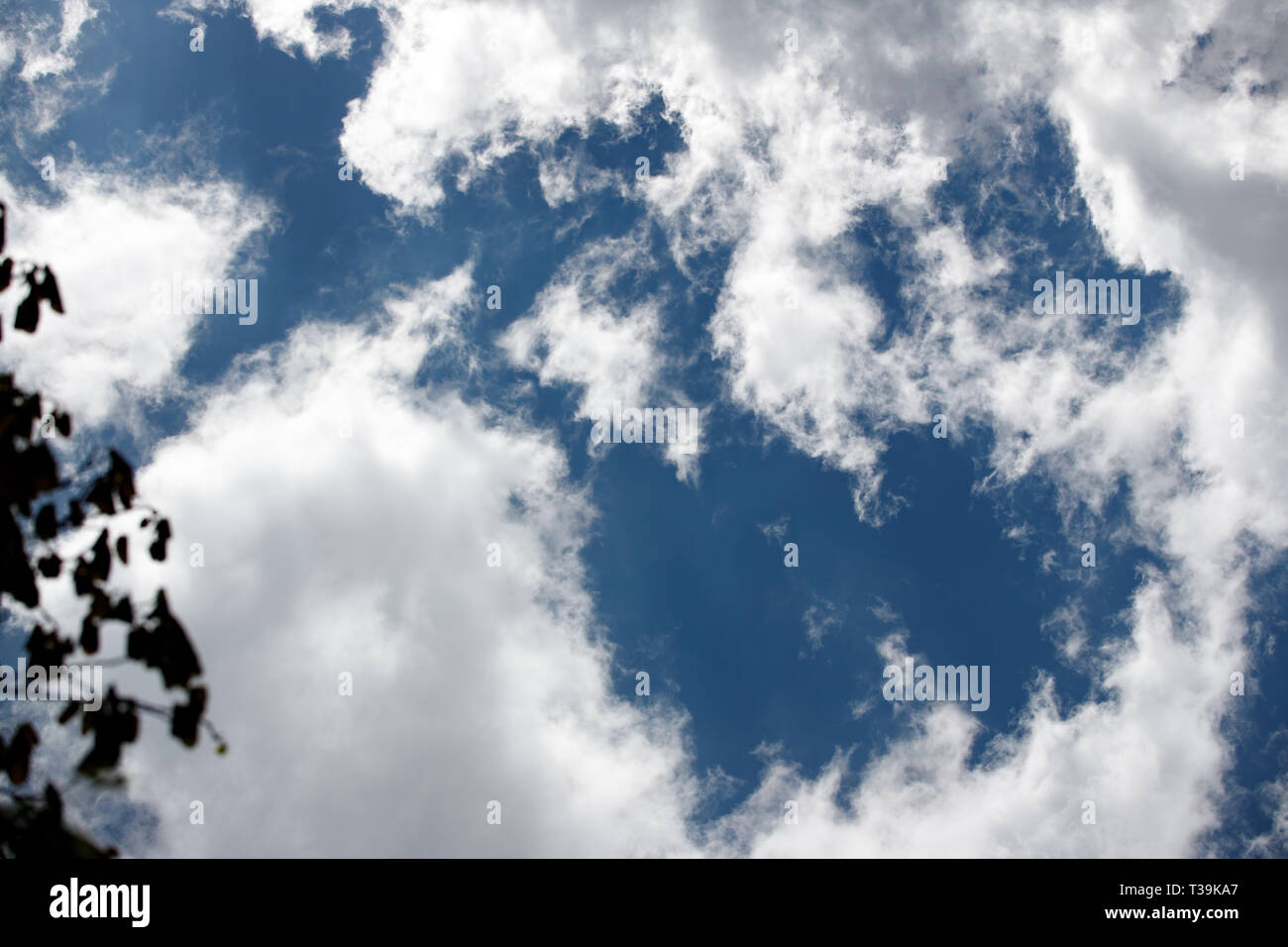 shreds of clouds at beautiful dark sky Stock Photo - Alamy