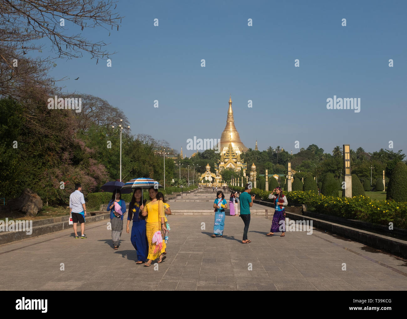 Young people in the People's Park & People's Square, Shwedagon Pagoda in the background, Yangon,Myanmar (Burma) Stock Photo