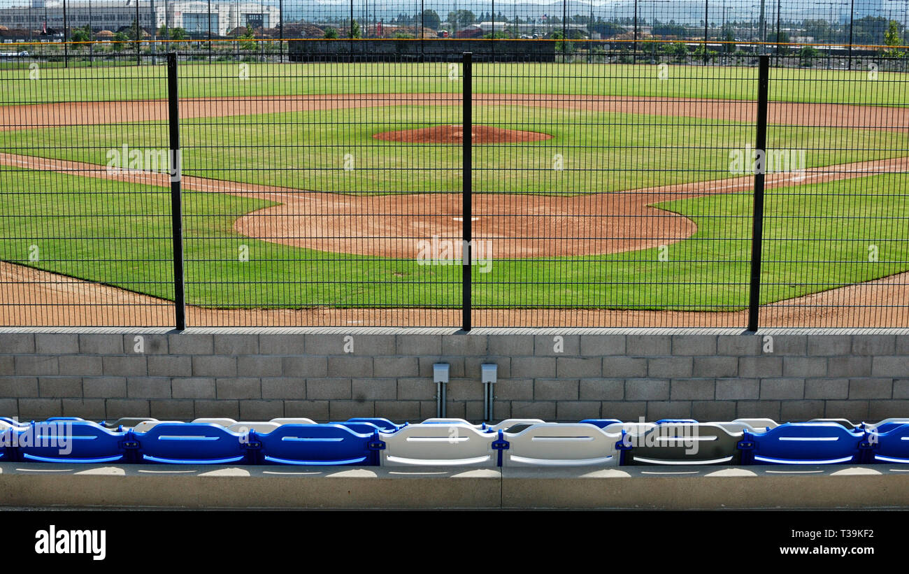 Behind home plate seats at an small and empty baseball stadium Stock Photo  - Alamy