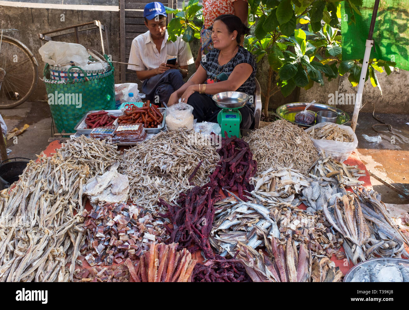 Woman selling dried fish at market in Yangon, Myanmar Stock Photo Alamy
