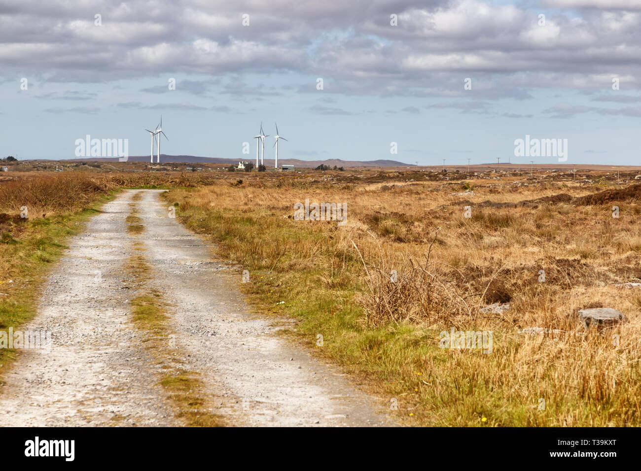 Farm road in a bog with wind power and typical vegetation and rocks, Spiddal, Galway, Ireland Stock Photo