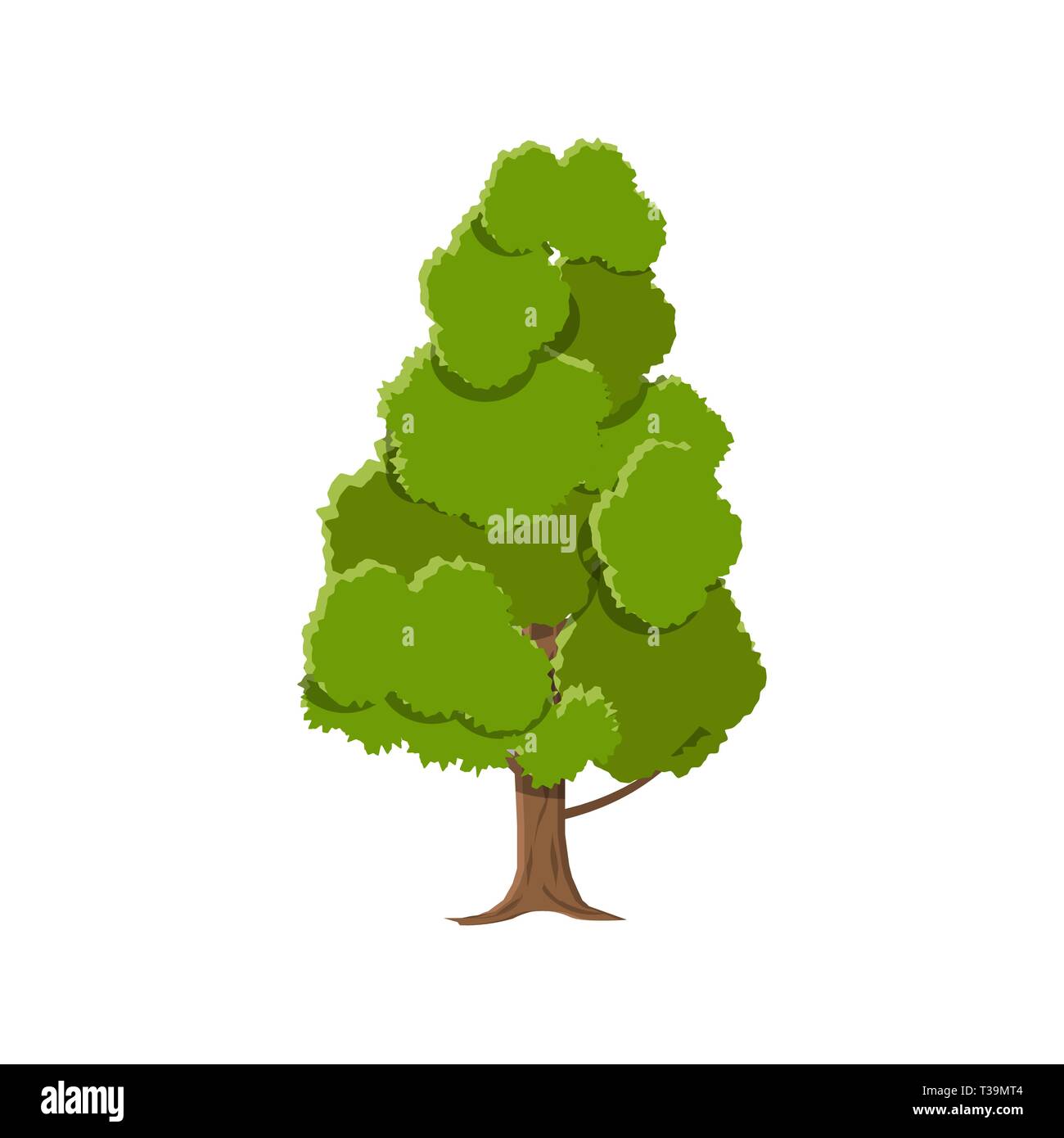 Oak tree isolated on white. vector illustration in flat style Stock ...