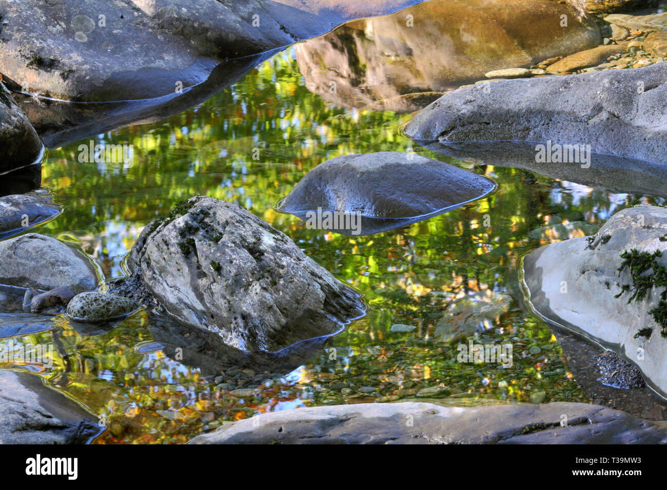 Trees reflected in water in a rock pool by the River Llugwy (Afon Lugwy), near Betws-y-Coed, North Wales. Stock Photo