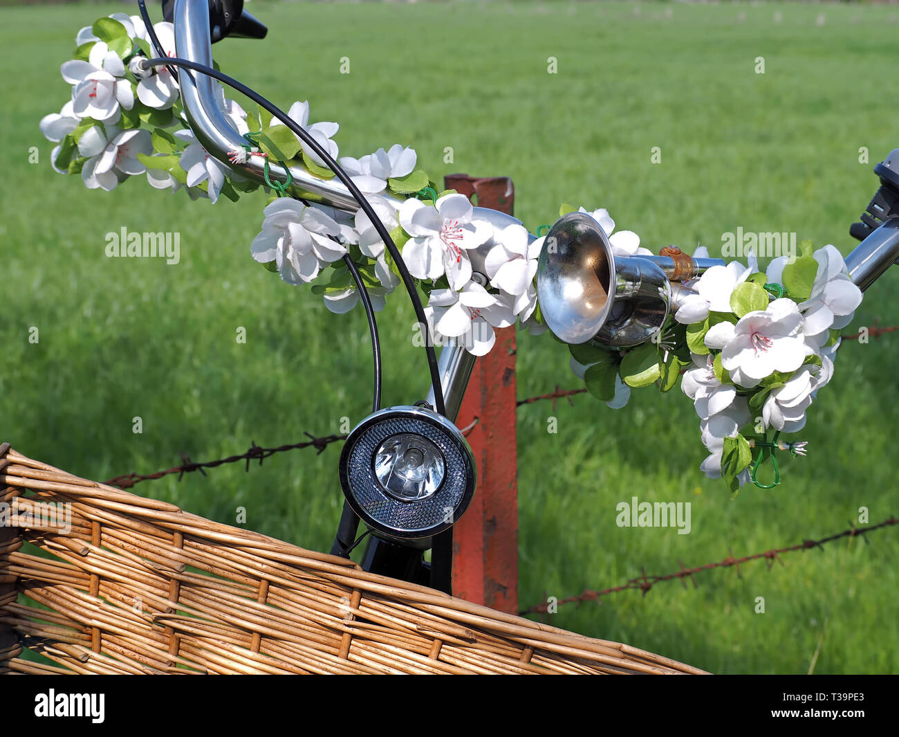 Flexible Mobility High Resolution Stock Photography and Images - Alamy