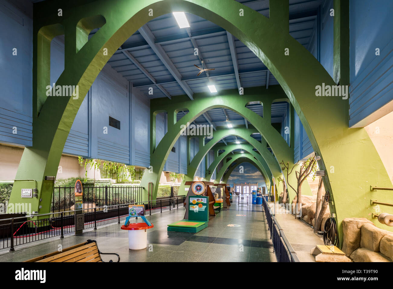 Interior of the Pachyderm House at Brookfield Zoo Stock Photo Alamy