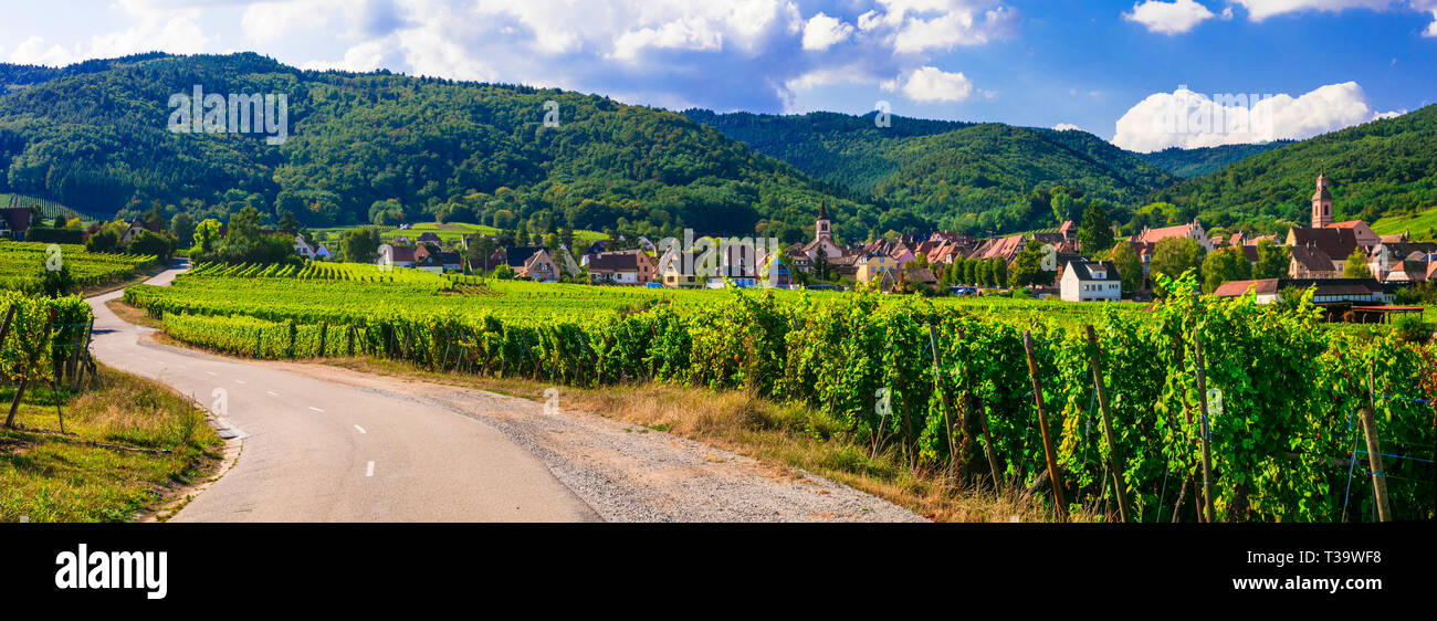 Traditional Riquewihr village,view with vineyards ,Alsace region,France Stock Photo