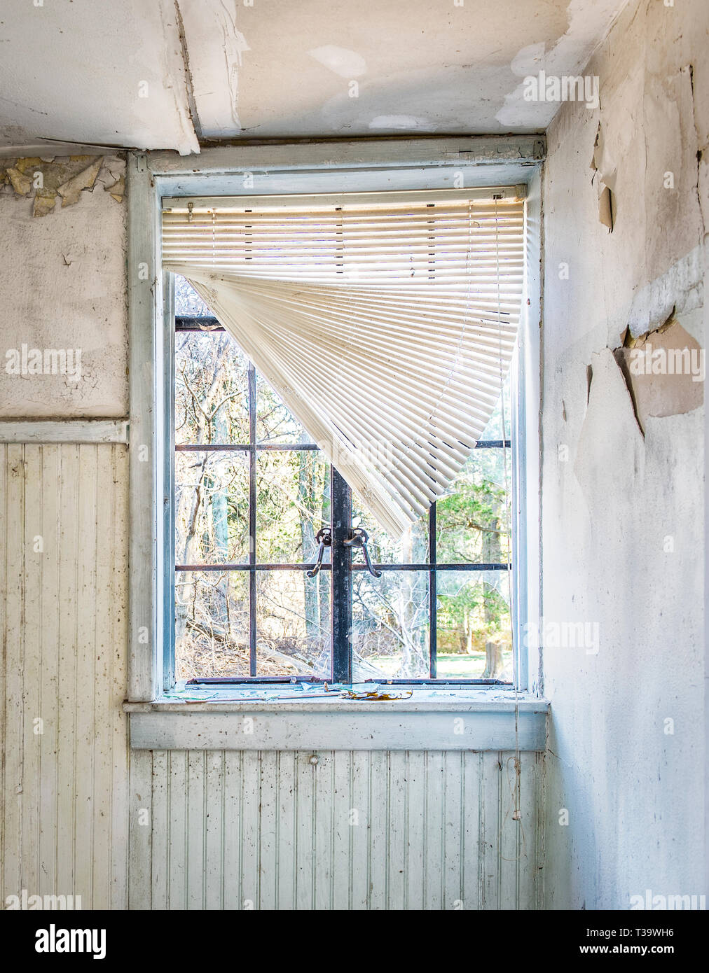 Window in old abandoned house in central Virginia, with walls of ...