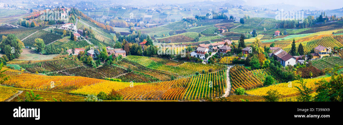 Impressive multicolored vineyards in Piedmont region,Italy. Stock Photo