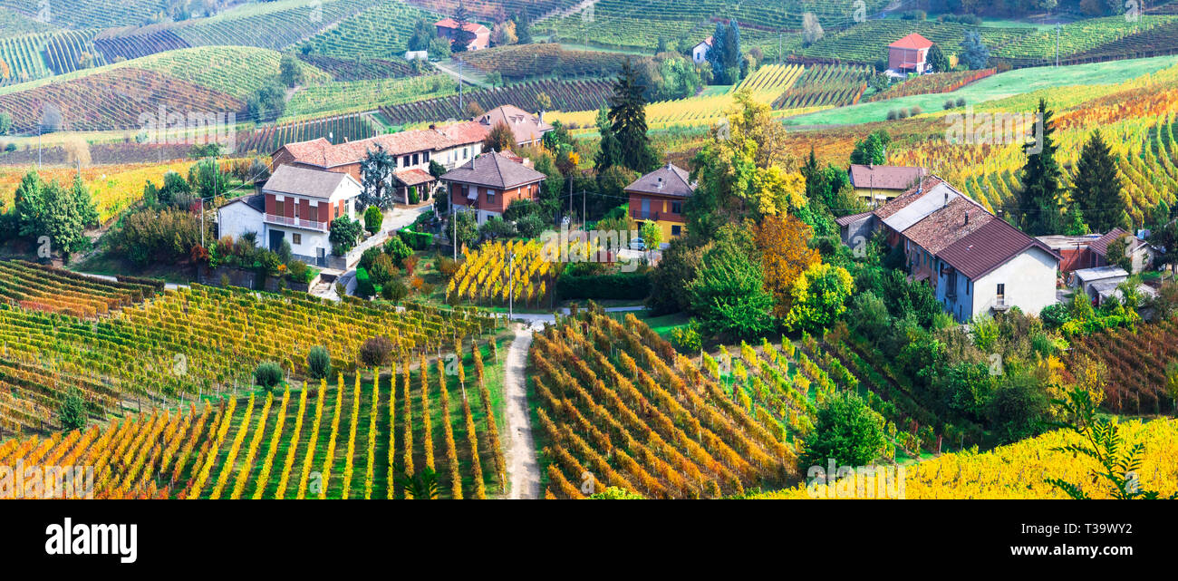 Impressive multicolored vineyards in Piedmont region,Italy. Stock Photo