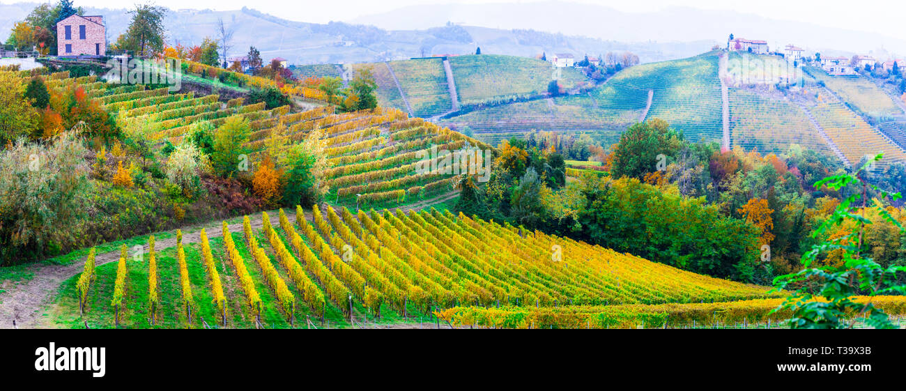 Impressive multicolored vineyards in Piedmont region,Italy Stock Photo