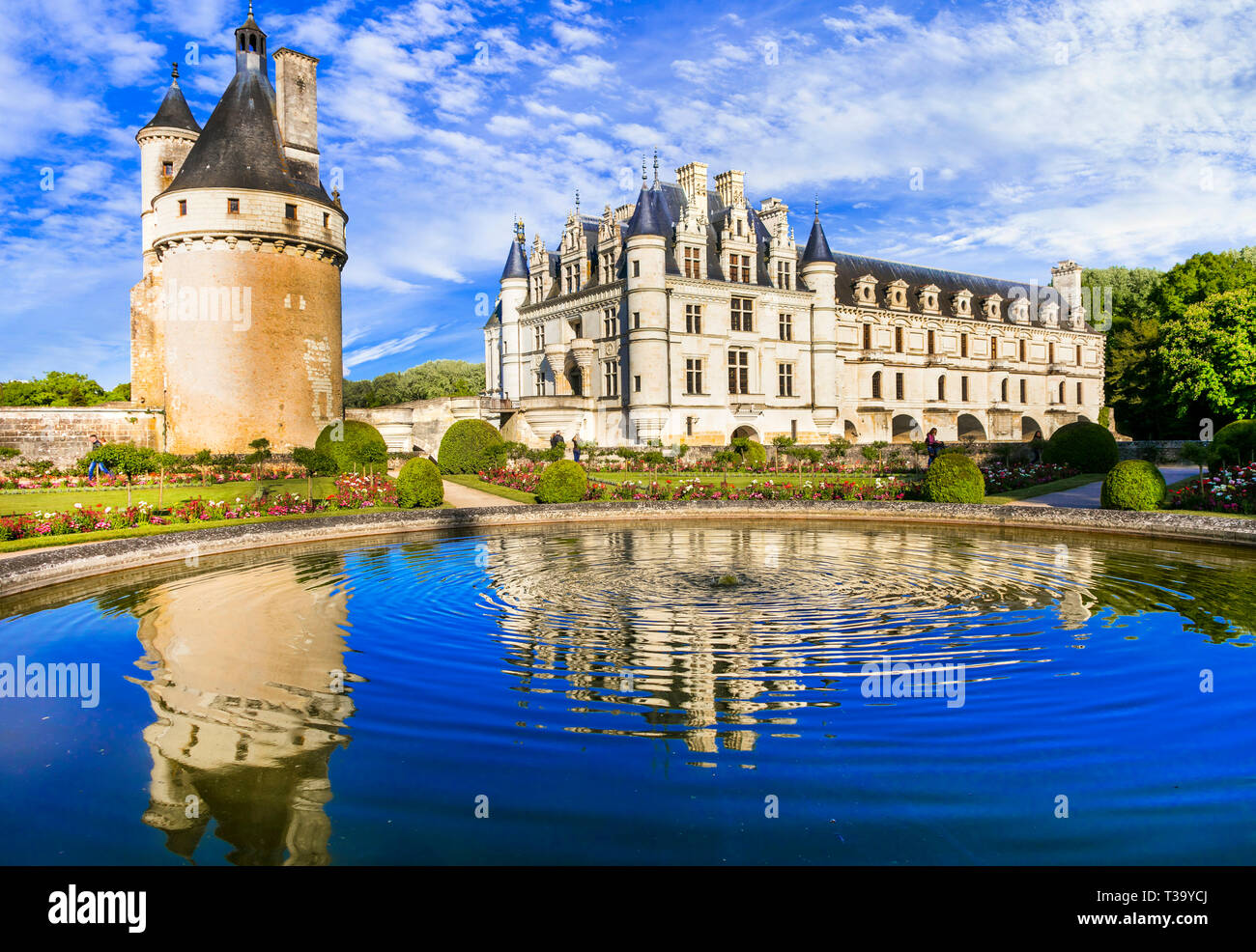 Elegant Chenonceau medieval castle,Loire valley,panoramic view.France. Stock Photo
