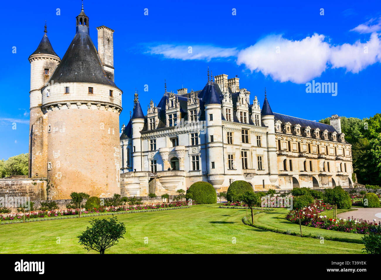 Impressive Chenonceau medieval castle,Loire valley, France Stock Photo