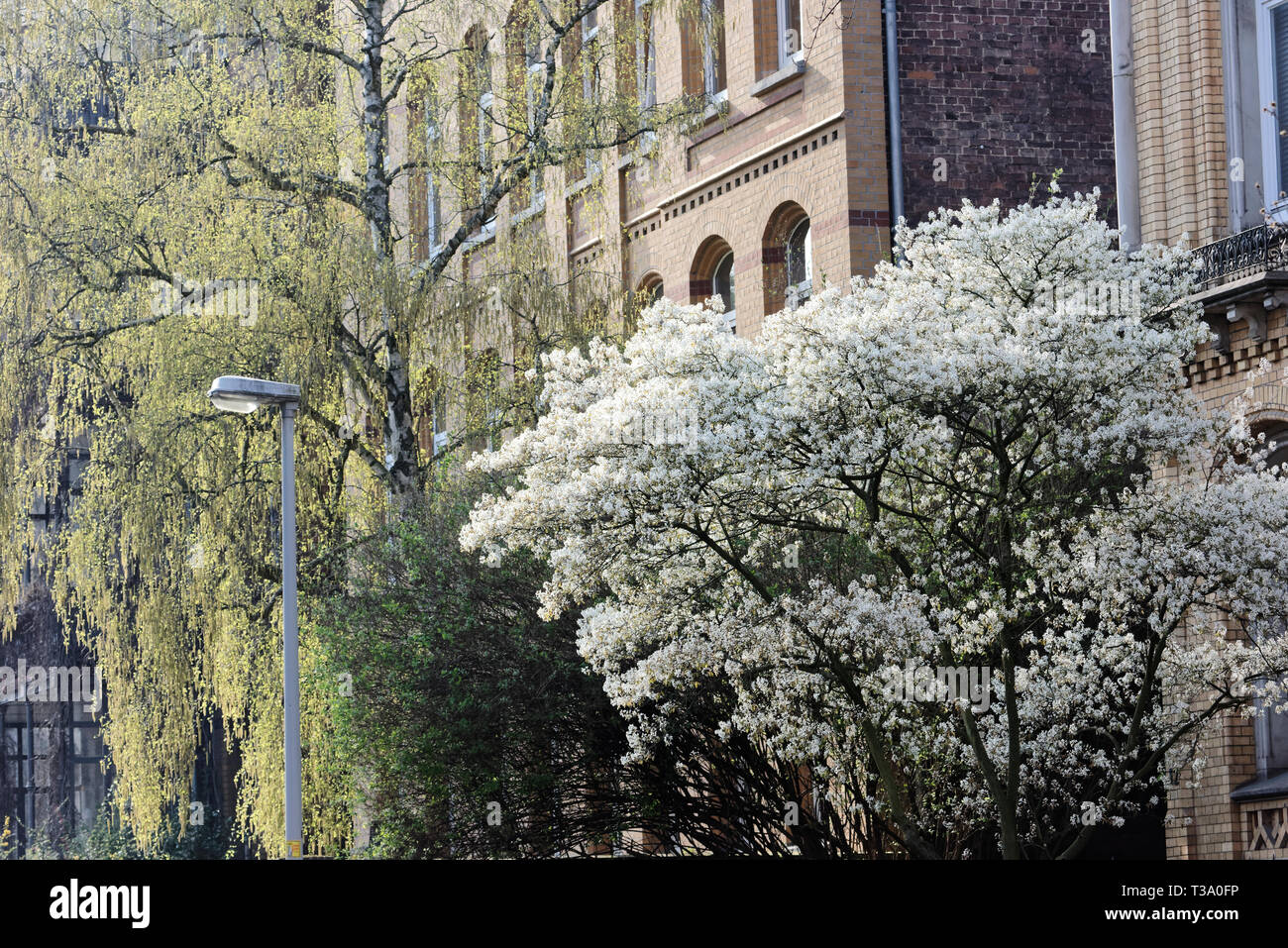 Lindener Marktplatz 2019,Hannover,Deutschland Stock Photo Alamy
