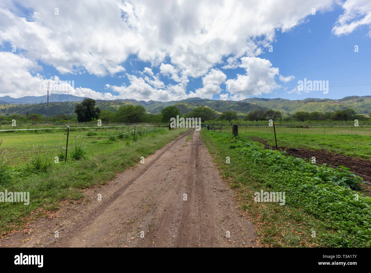Country Roads through Dillingham Ranch in Hawaii Stock Photo Alamy