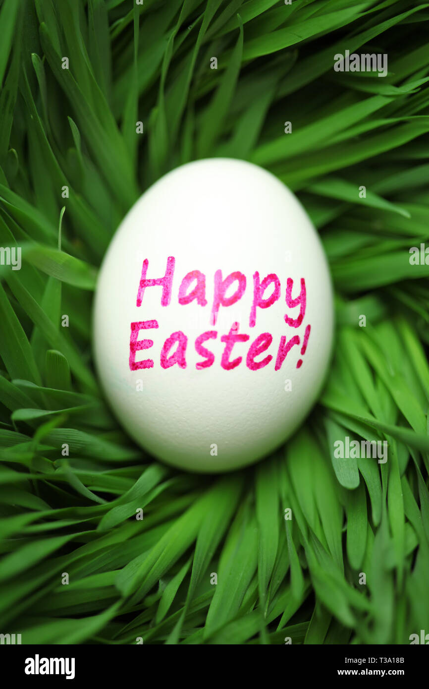 Single Happy Easter egg hidden in grass Stock Photo