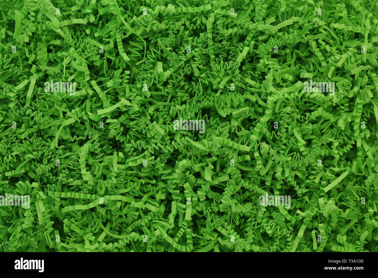 Green Easter grass background Stock Photo