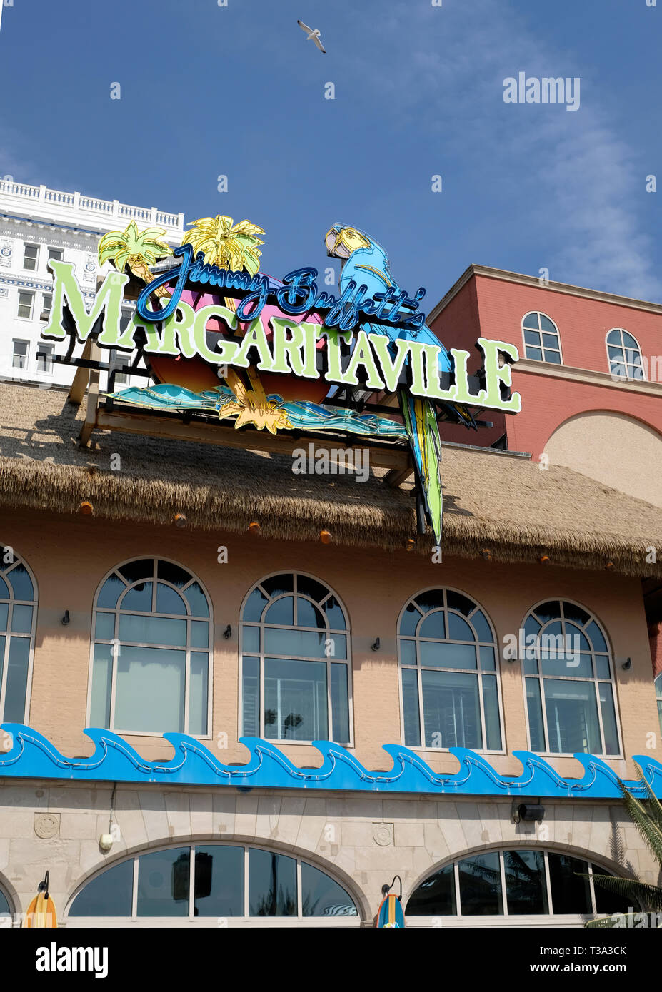 Margaritaville in Atlantic City, New Jersey Stock Photo - Alamy