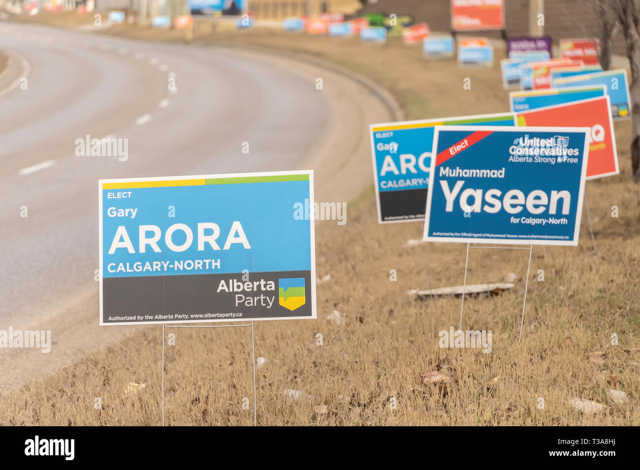 April 7 2019 - Calgary., Alberta , Canada - Candidate campaign signs on ...
