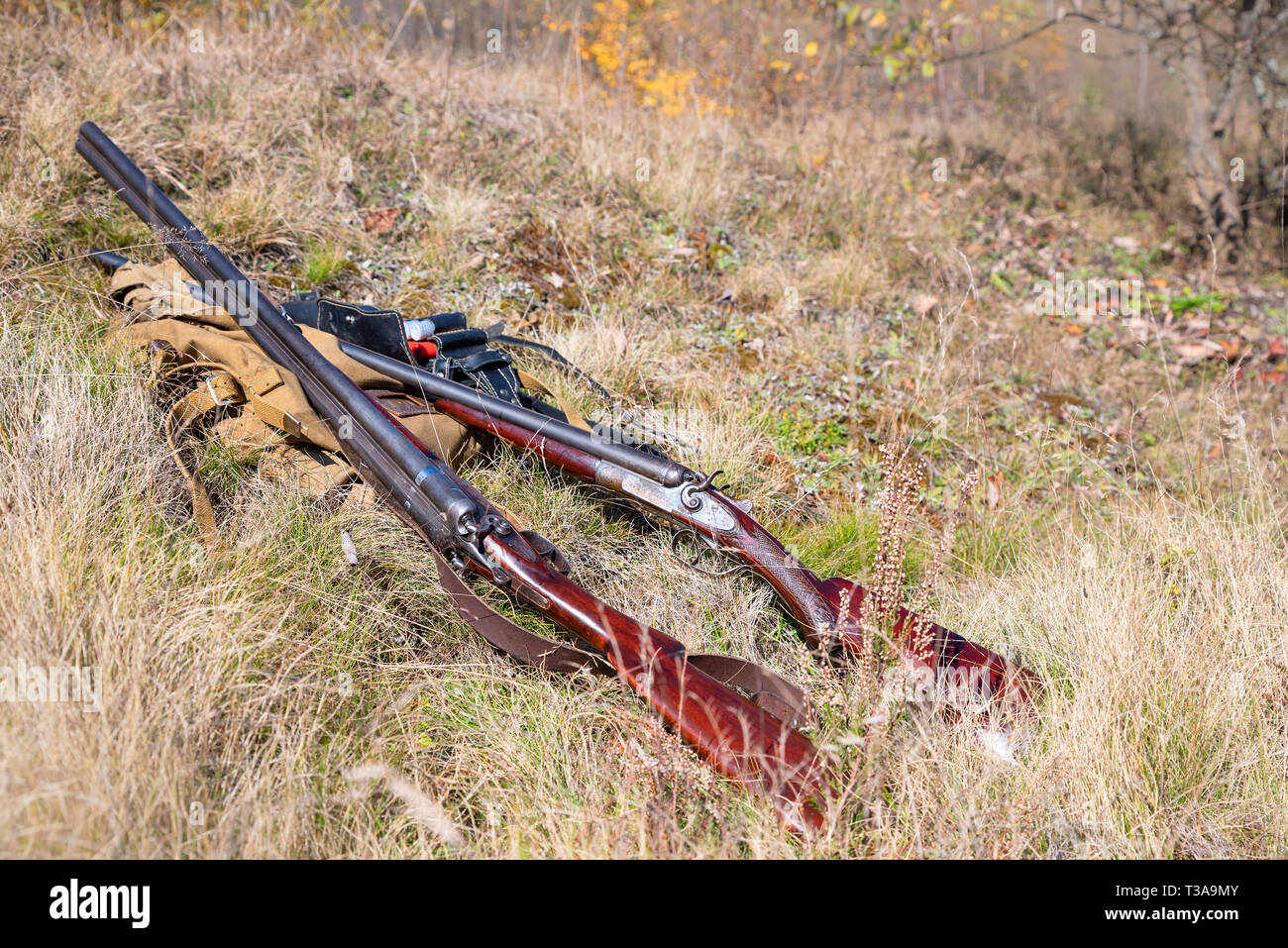 Hunting Supplies and Equipment on the ground in the forest. Concept