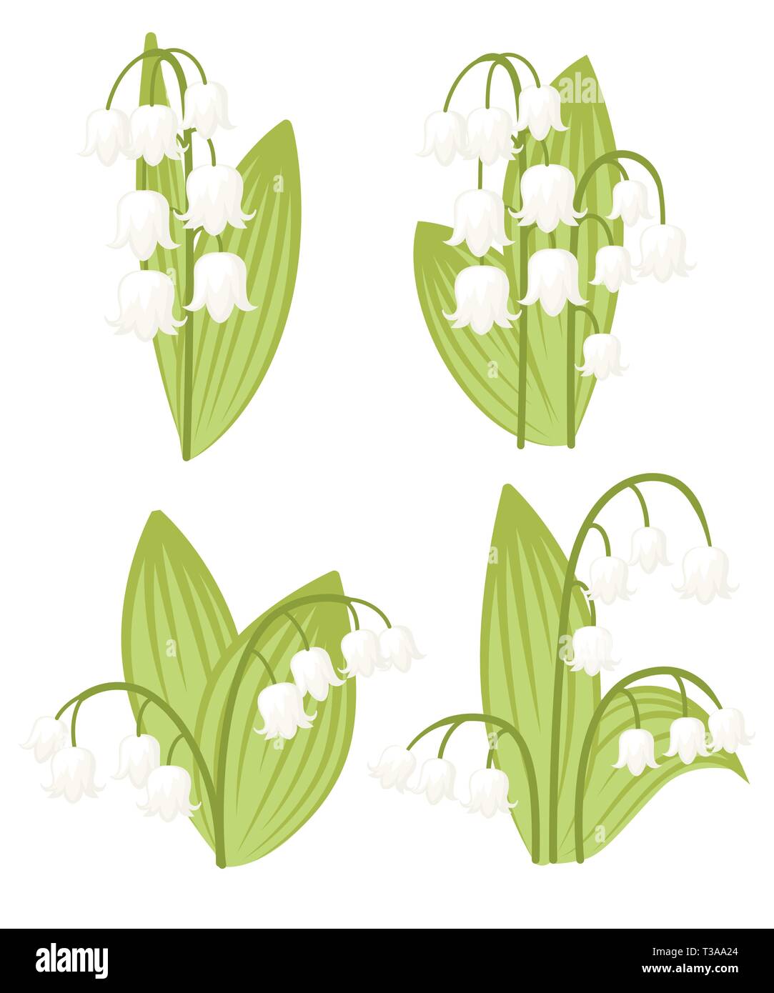 Convallaria majalis. Lilly of the valley. Mid spring colorful flower. Flat vector illustration isolated on white background. Flowers set. Stock Vector