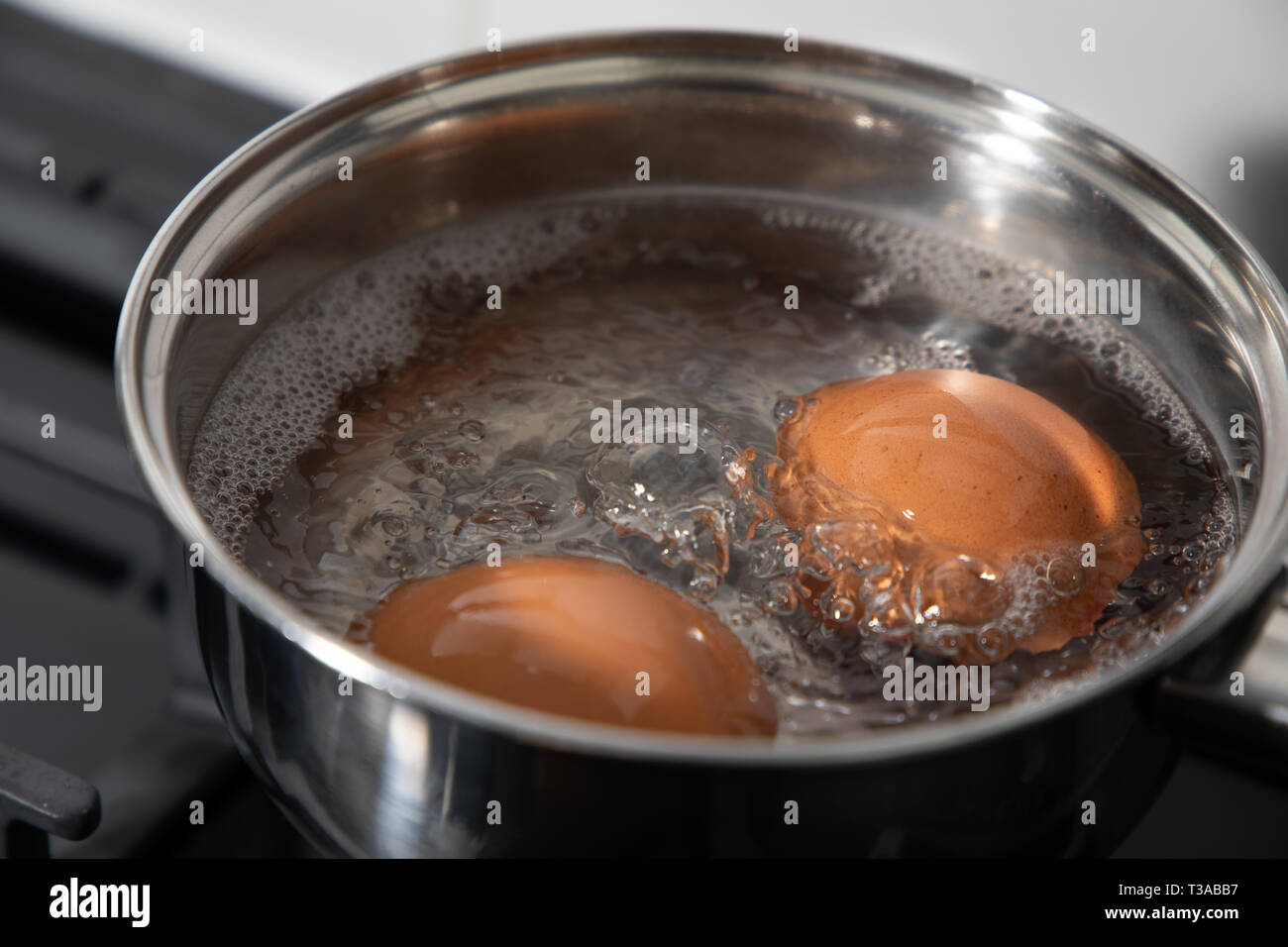 boiled eggs in a pan Stock Photo